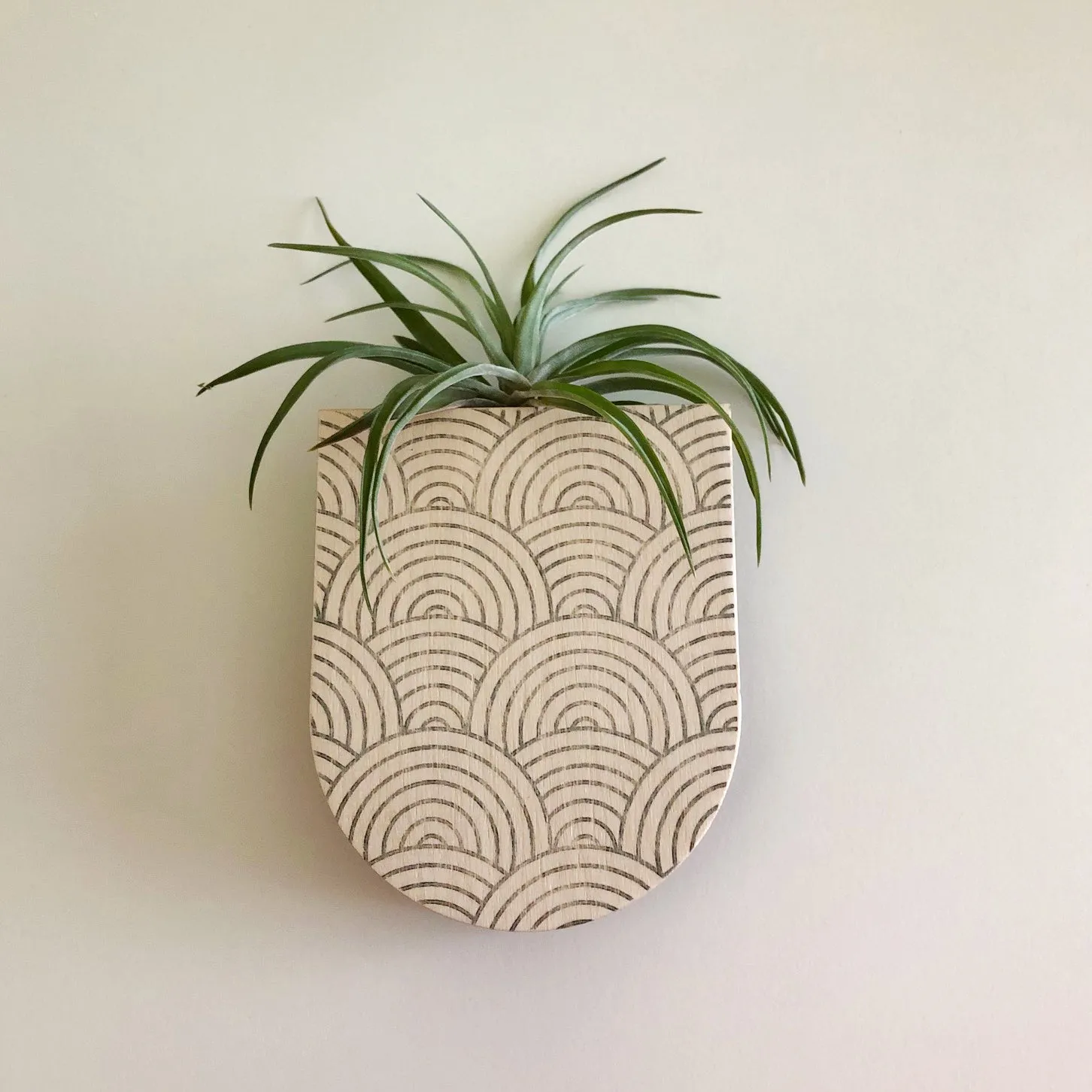 Mod Curves Pocket Wall Planter Vase