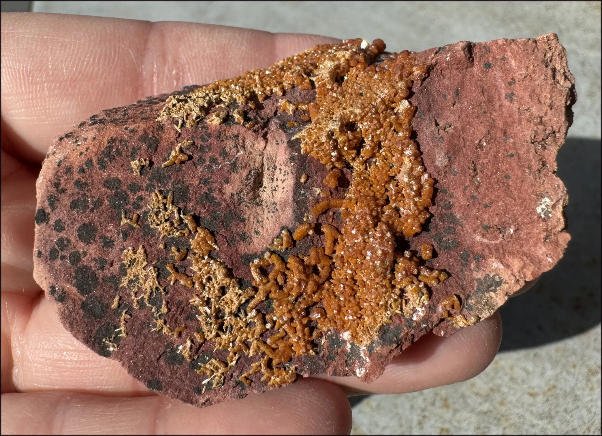 Moroccan VANADINITE Specimen with Cool Dendrites - Root Chakra, Harmony