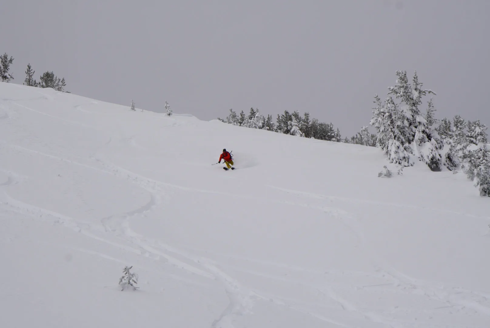 Mt Rose Backcountry Skiing & Splitboarding