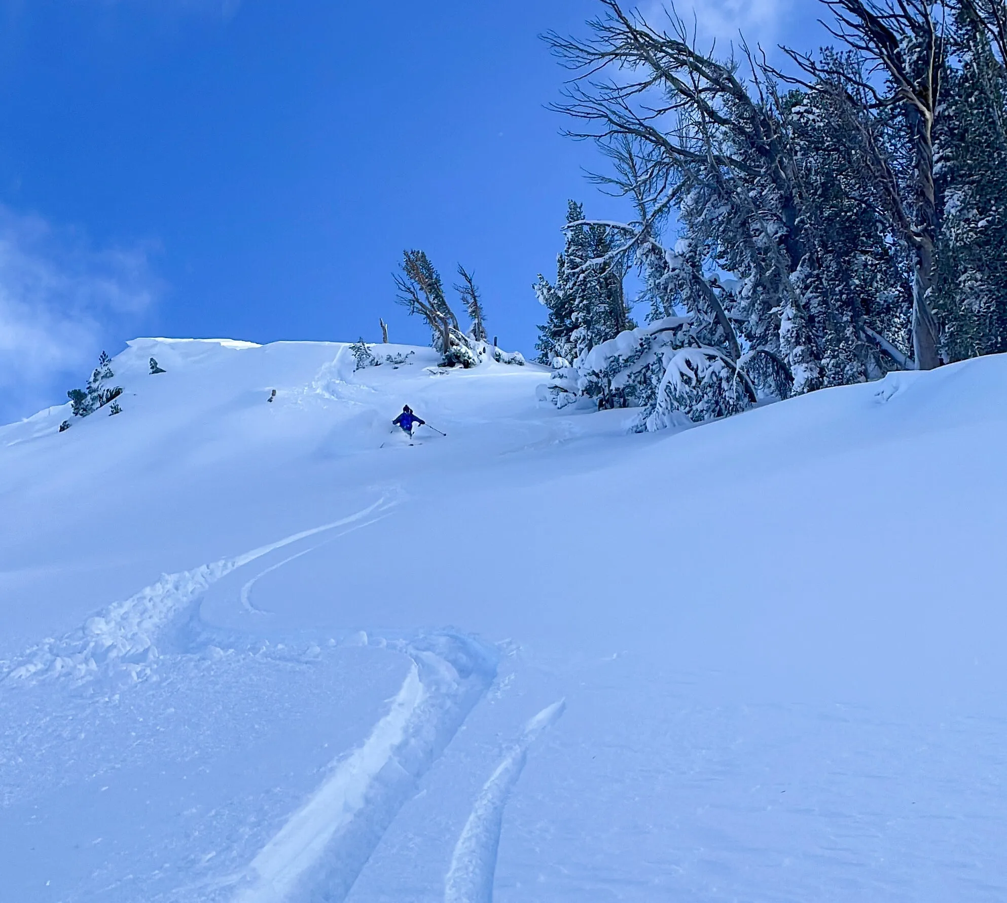 Mt Rose Backcountry Skiing & Splitboarding