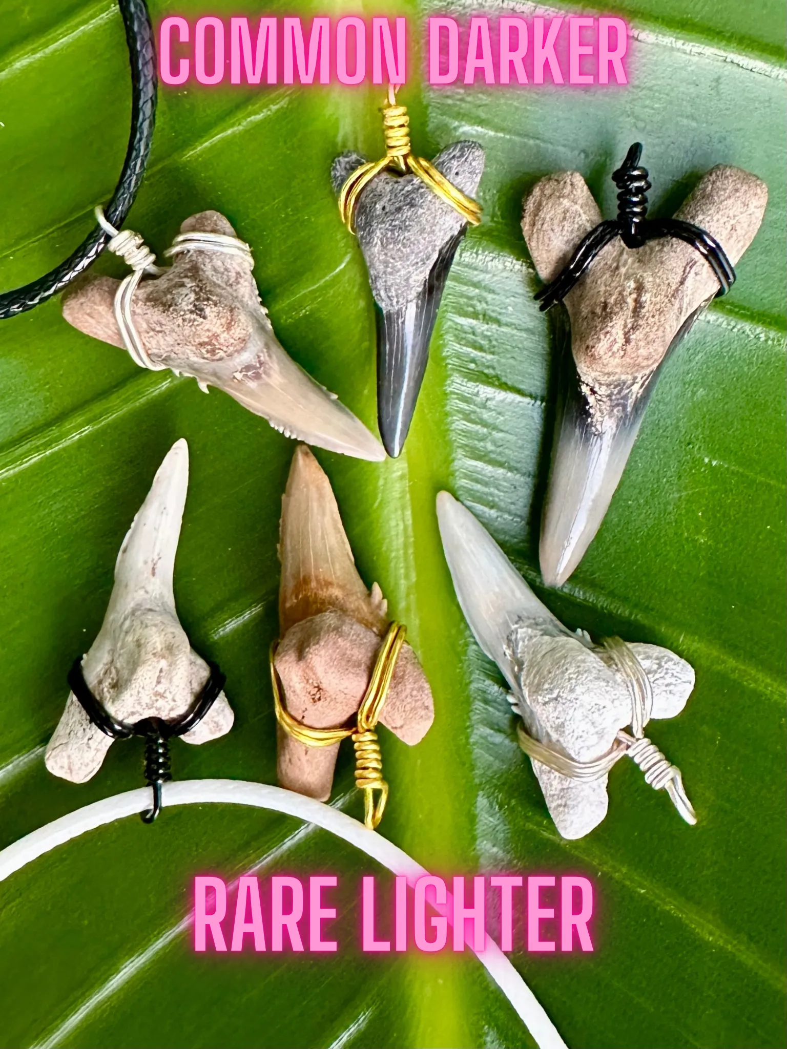 NEW Dagger Shaped Necklace (Lower Snaggletooth)