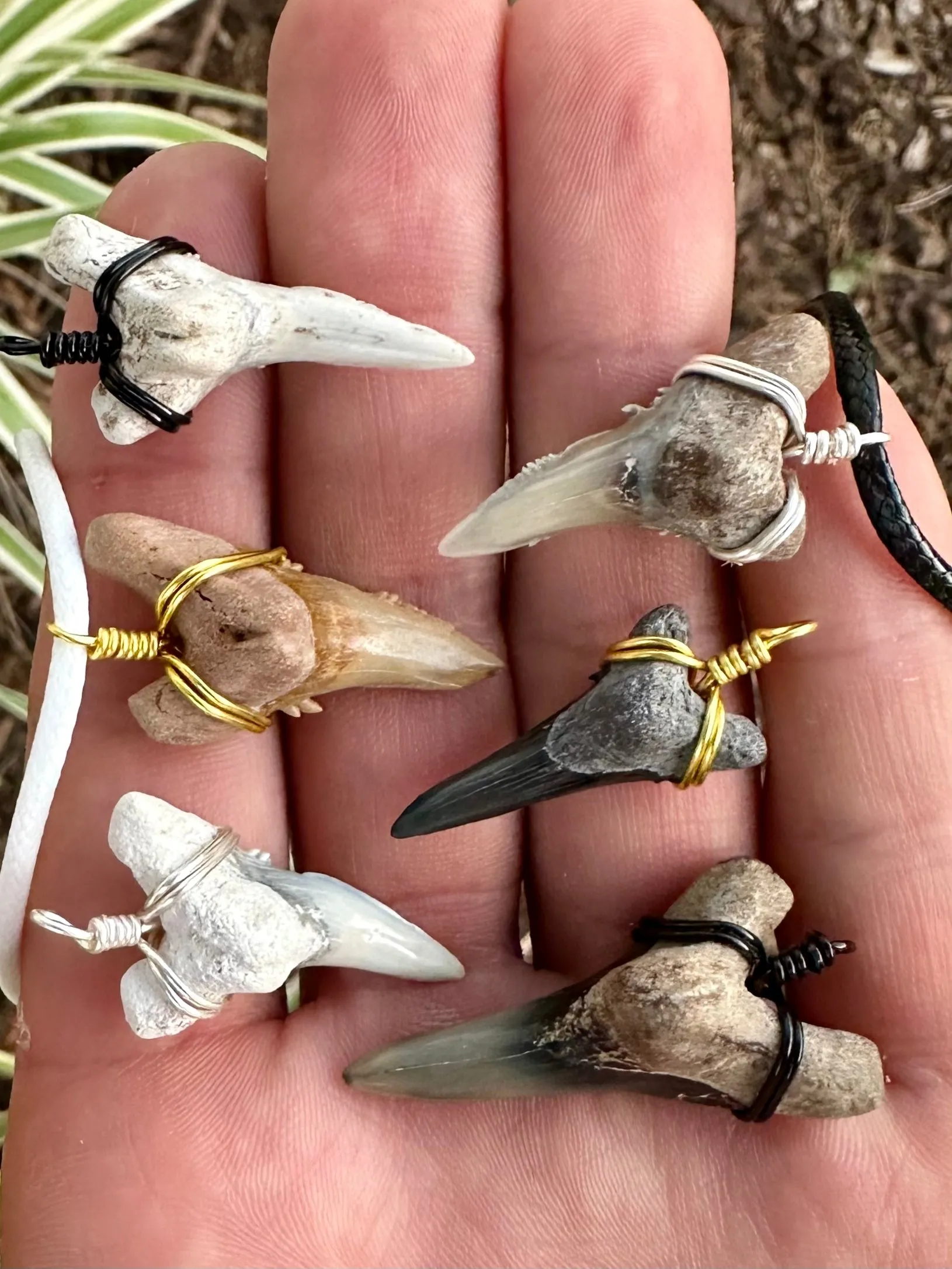 NEW Dagger Shaped Necklace (Lower Snaggletooth)