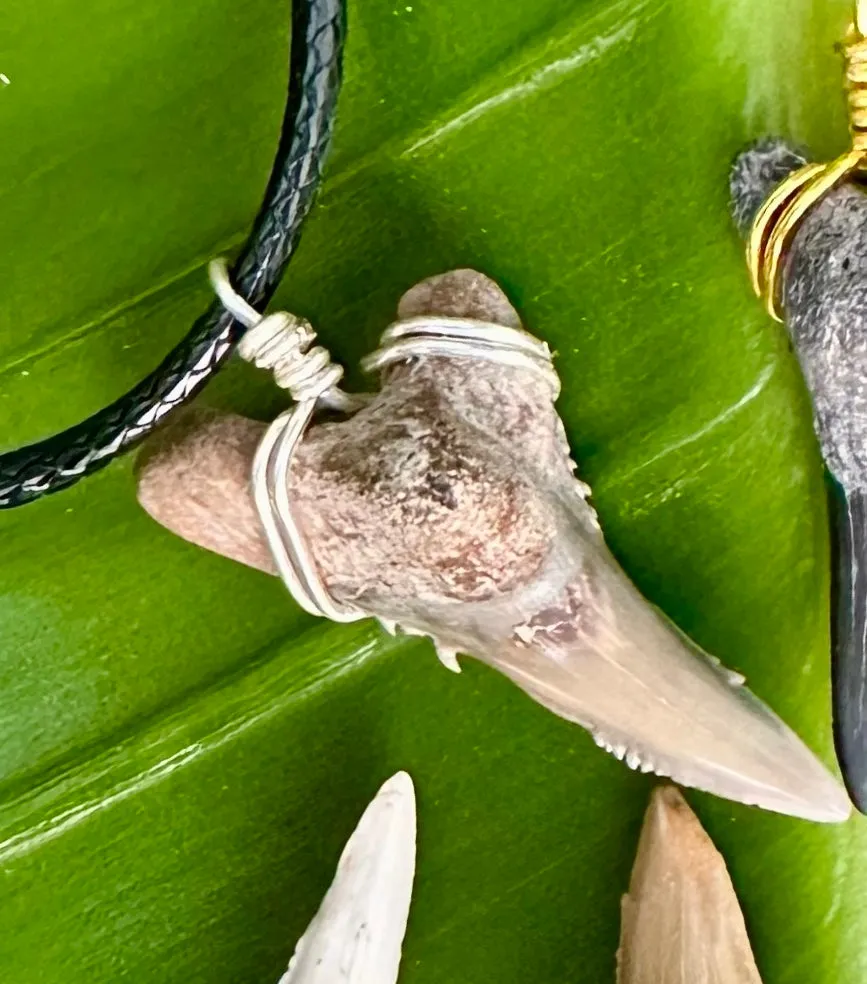 NEW Dagger Shaped Necklace (Lower Snaggletooth)