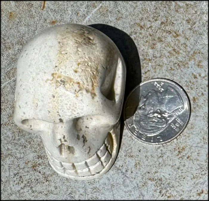 Ocean Jasper CRYSTAL SKULL - Align Chakras, Patience - with Synergy 10  years