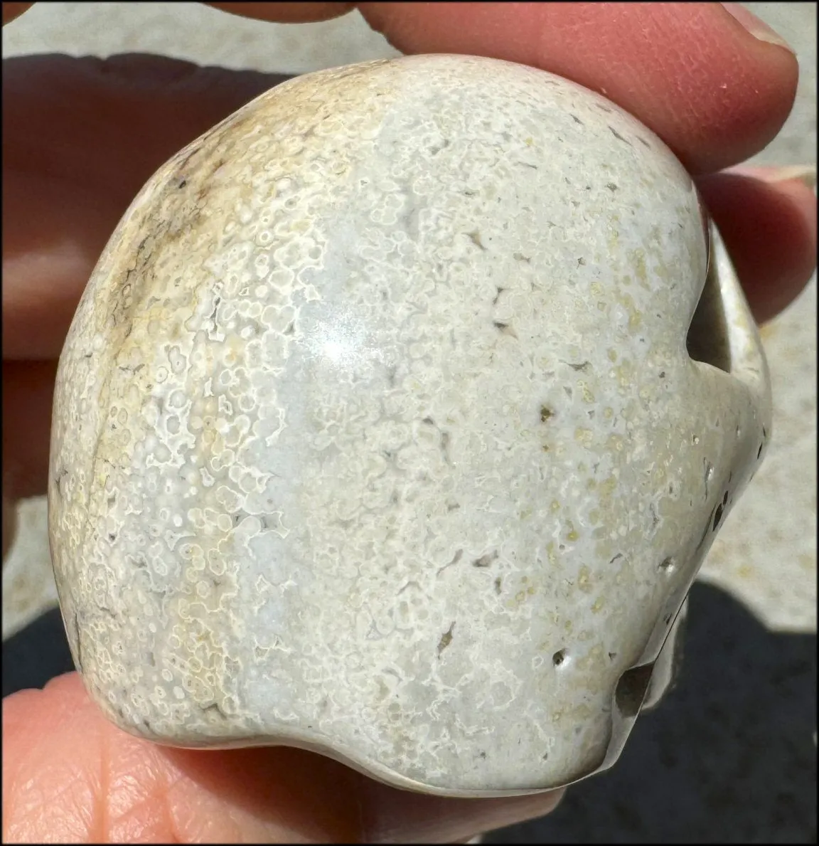 Ocean Jasper CRYSTAL SKULL - Align Chakras, Patience - with Synergy 10  years