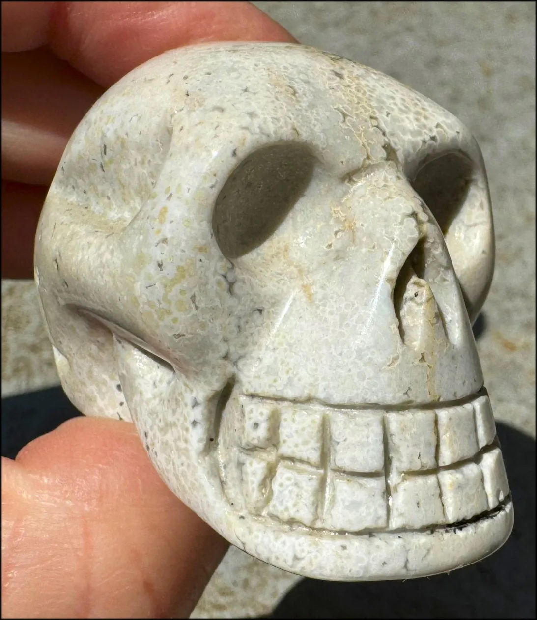 Ocean Jasper CRYSTAL SKULL - Align Chakras, Patience - with Synergy 10  years