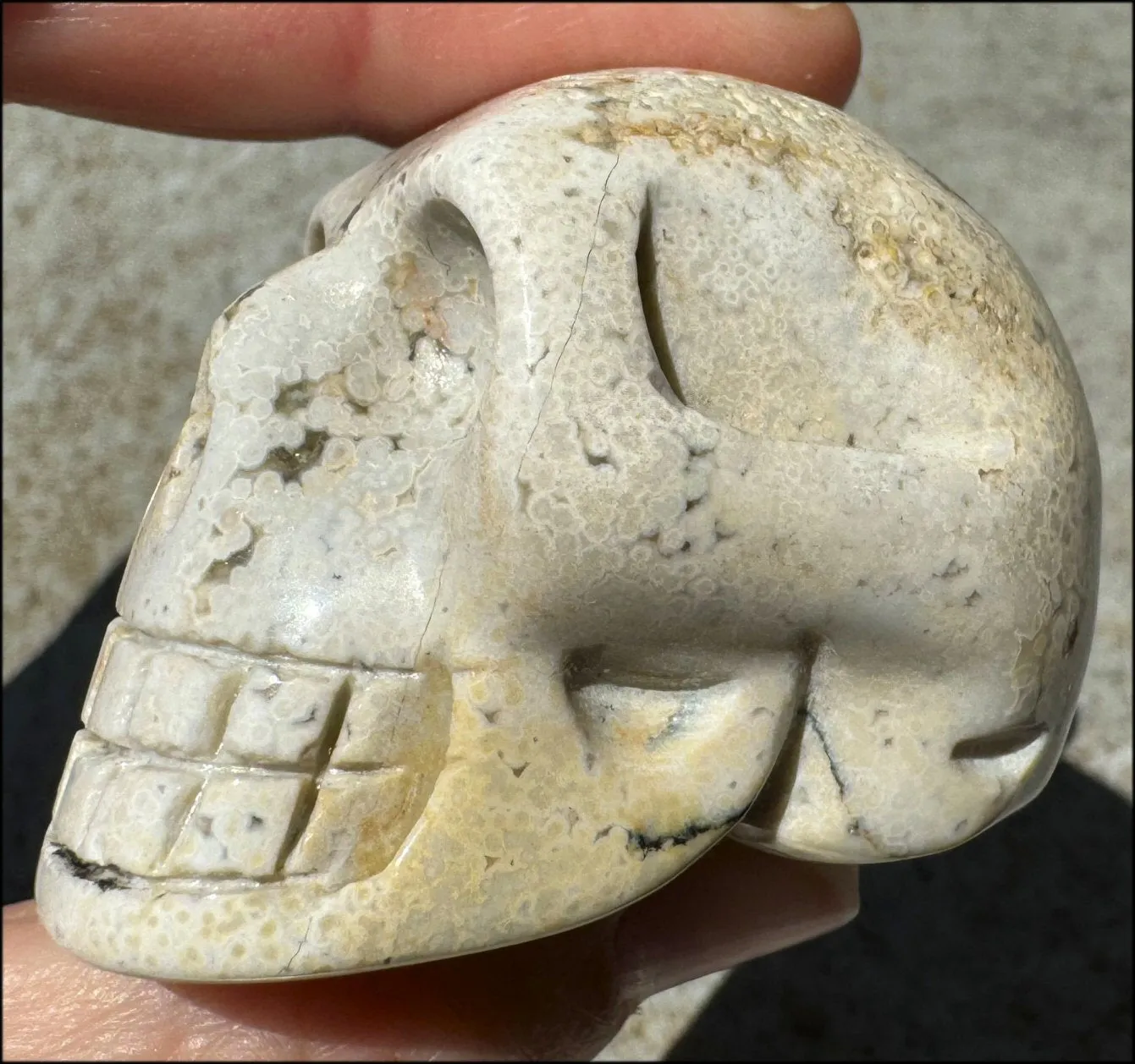 Ocean Jasper CRYSTAL SKULL - Align Chakras, Patience - with Synergy 10  years