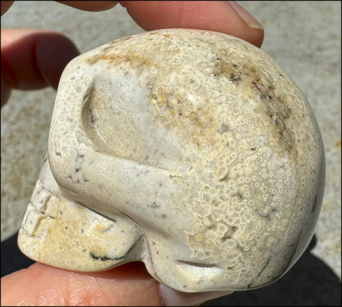 Ocean Jasper CRYSTAL SKULL - Align Chakras, Patience - with Synergy 10  years
