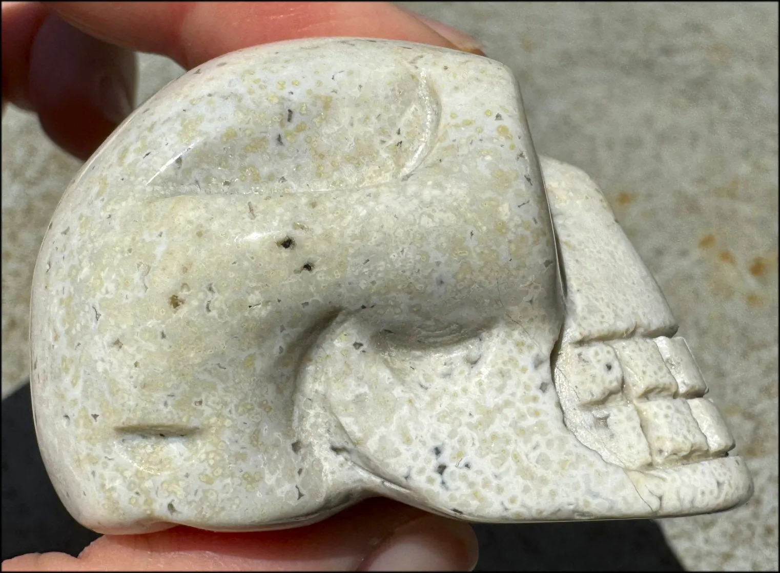Ocean Jasper CRYSTAL SKULL - Align Chakras, Patience - with Synergy 10  years