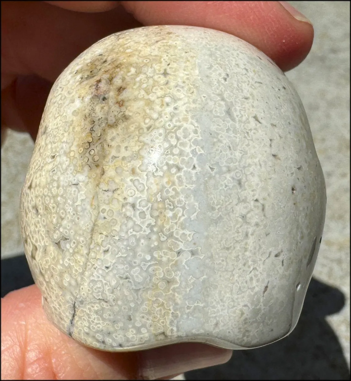Ocean Jasper CRYSTAL SKULL - Align Chakras, Patience - with Synergy 10  years