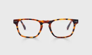 Old Sport Color 19 - Tortoise Front and Temples
