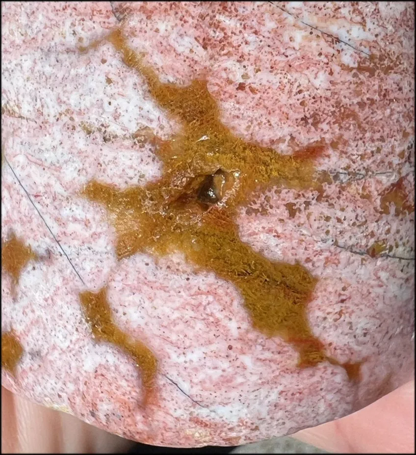 ~Old Stock~ OCEAN JASPER Unicorn Bust with Stunning Colors - Connect with the Fairy Folk and Devas