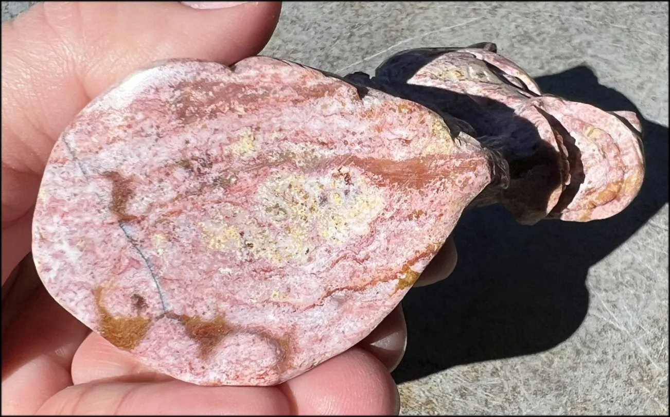 ~Old Stock~ OCEAN JASPER Unicorn Bust with Stunning Colors - Connect with the Fairy Folk and Devas