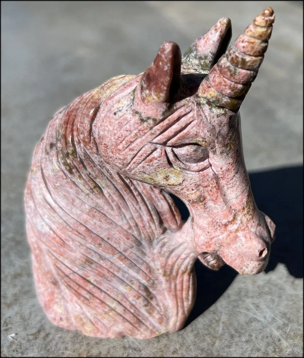 ~Old Stock~ OCEAN JASPER Unicorn Bust with Stunning Colors - Connect with the Fairy Folk and Devas