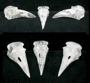 ONE Quartz Crystal RAVEN / BIRD Crystal Skull - Amazing details! Drilled to string for necklace!