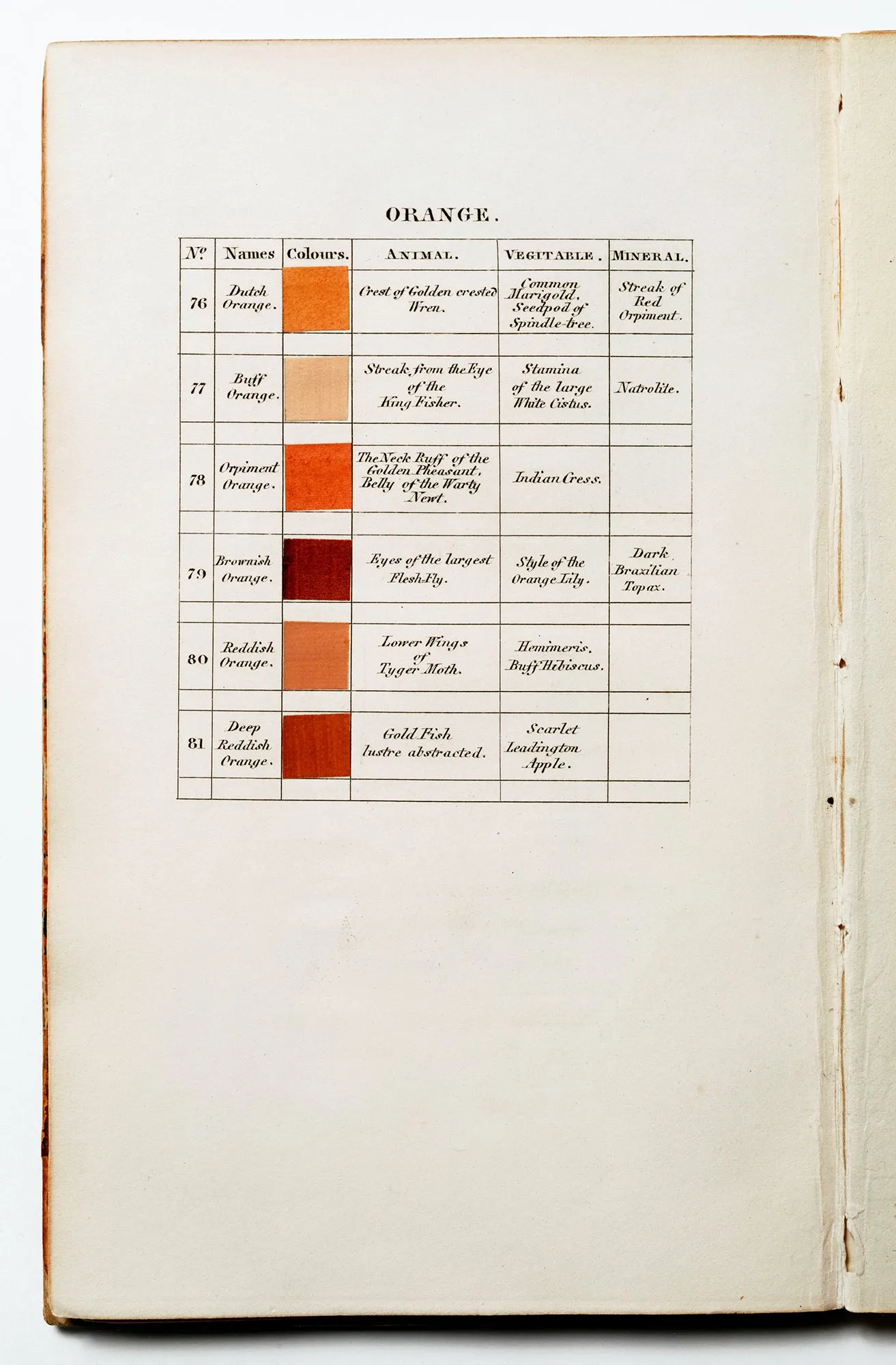 Orange, 76-81
