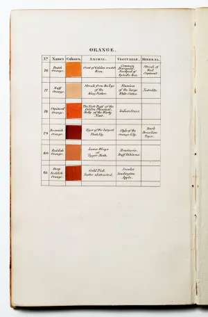 Orange, 76-81