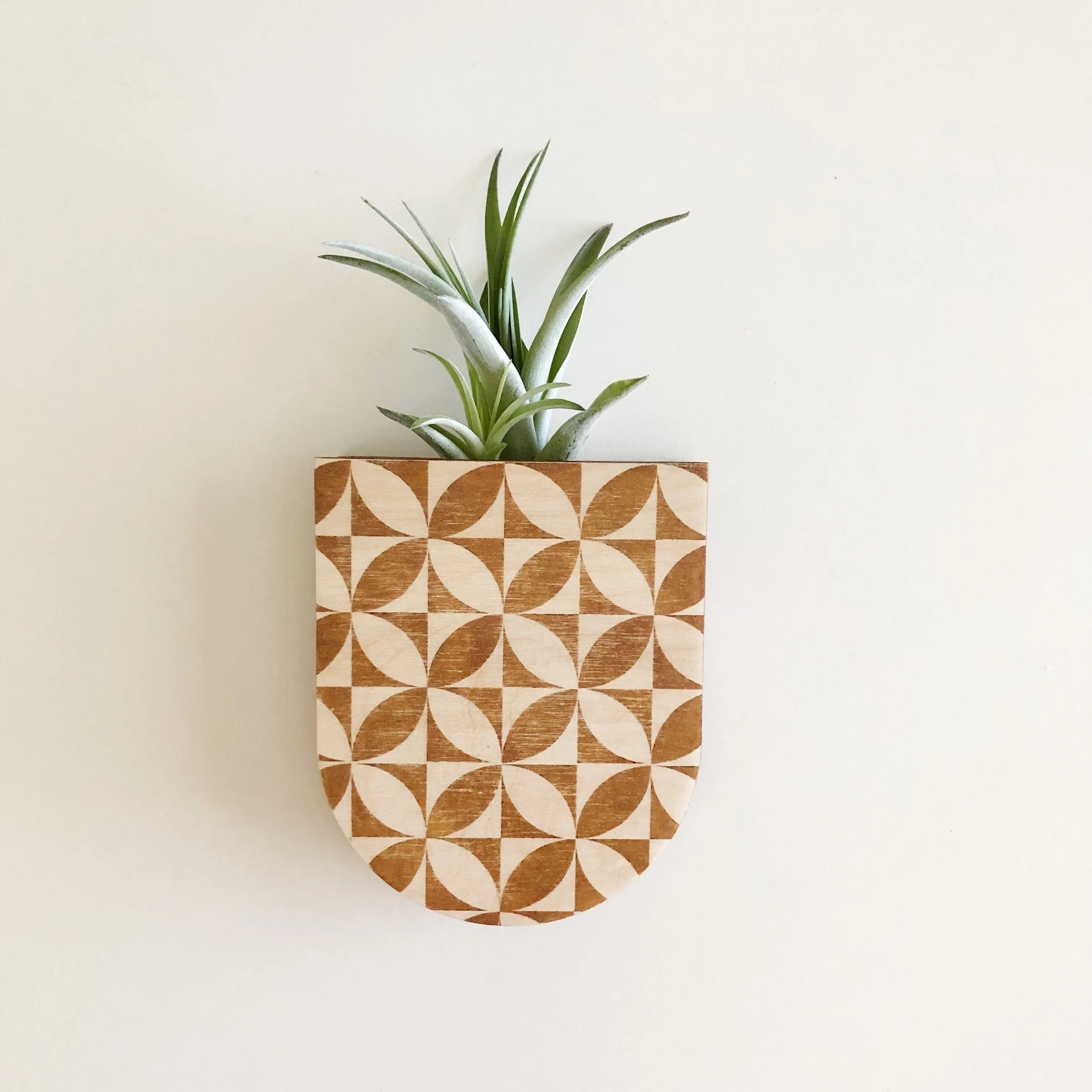 Petals Pocket Wall Planter Vase