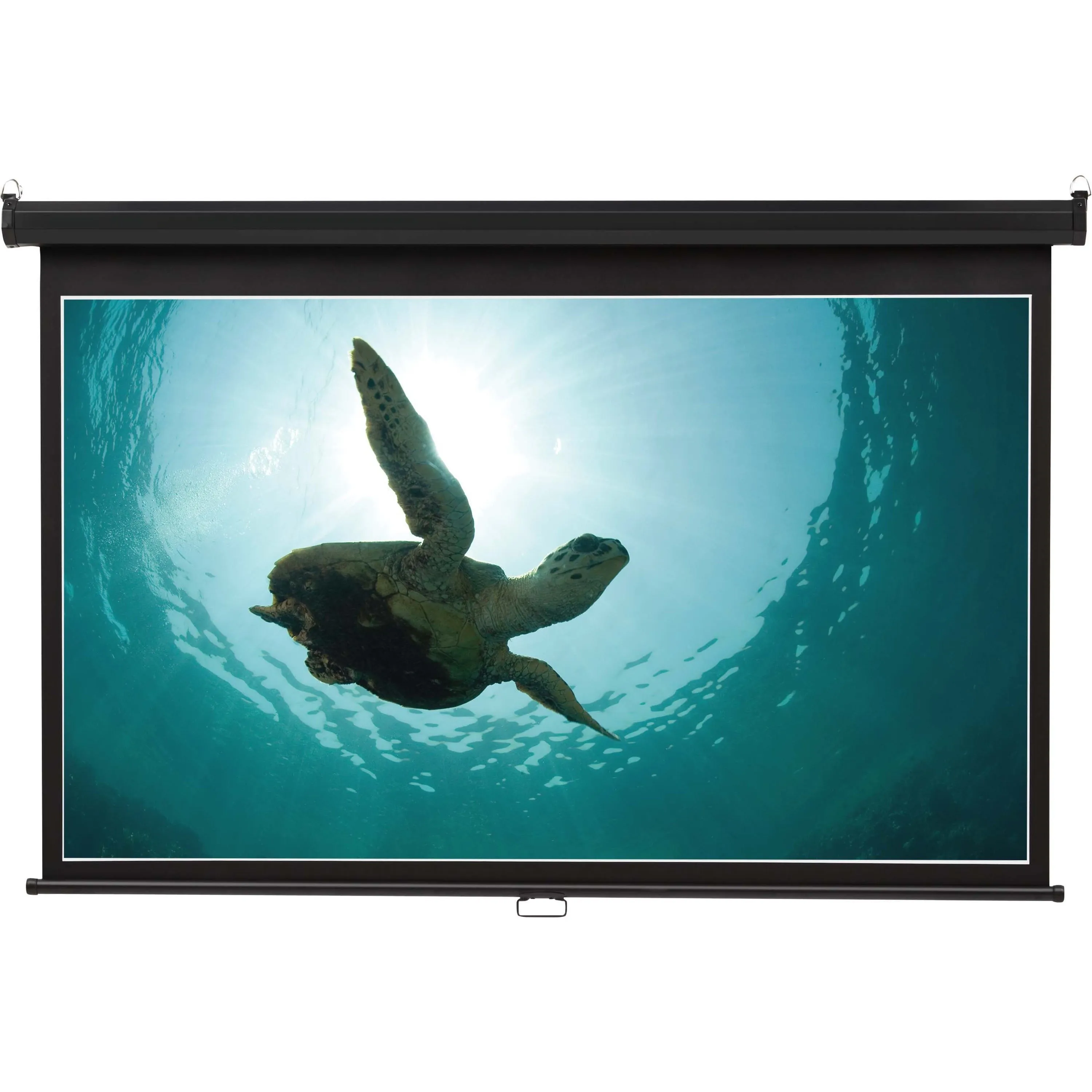 Quartet Manual Projection Screen