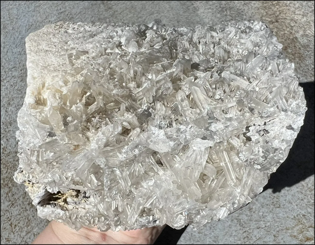 Quartz Crystal   Limestone METAMORPHOSIS Crystal Skull with Fantastic Sparkly Crystal Points
