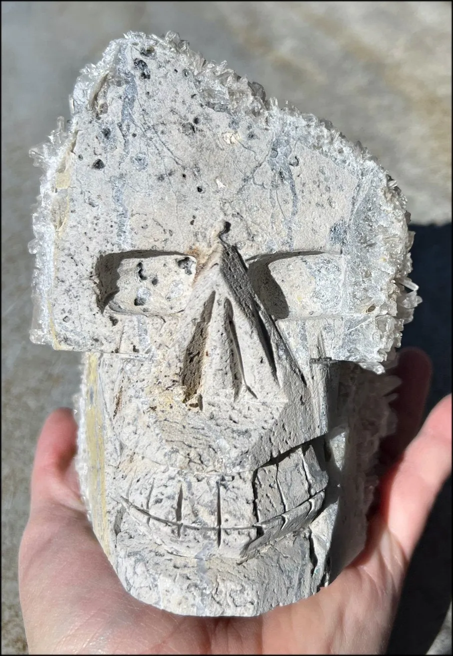 Quartz Crystal   Limestone METAMORPHOSIS Crystal Skull with Fantastic Sparkly Crystal Points