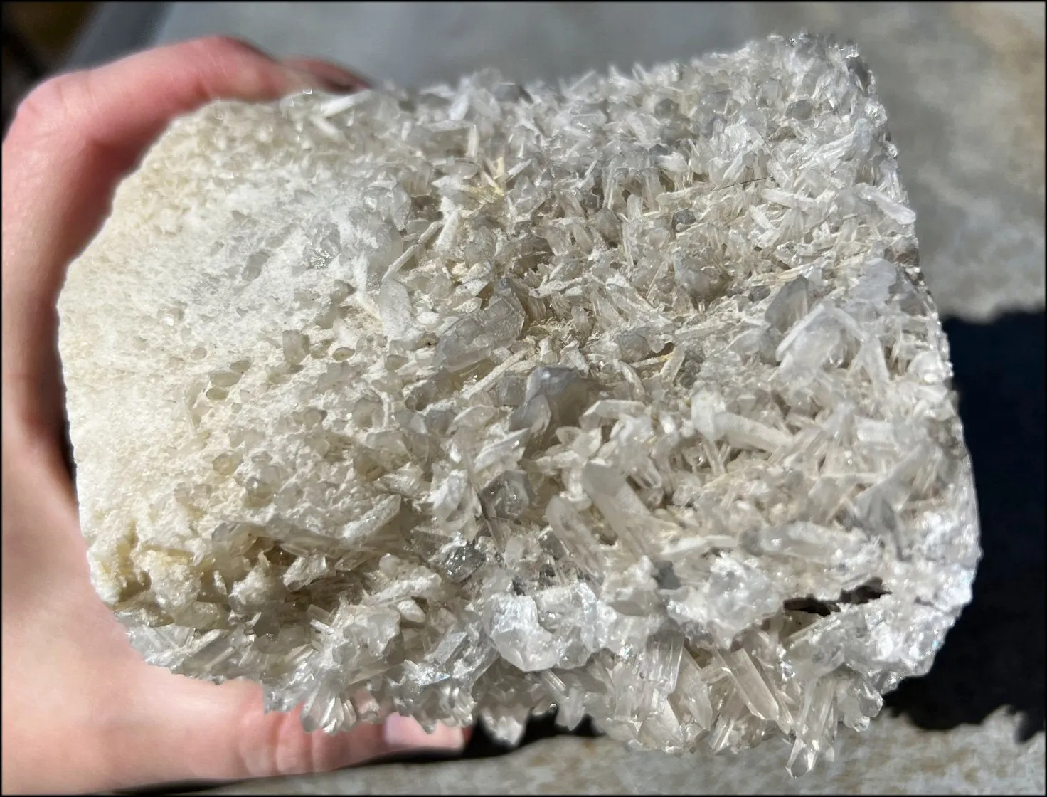 Quartz Crystal   Limestone METAMORPHOSIS Crystal Skull with Fantastic Sparkly Crystal Points
