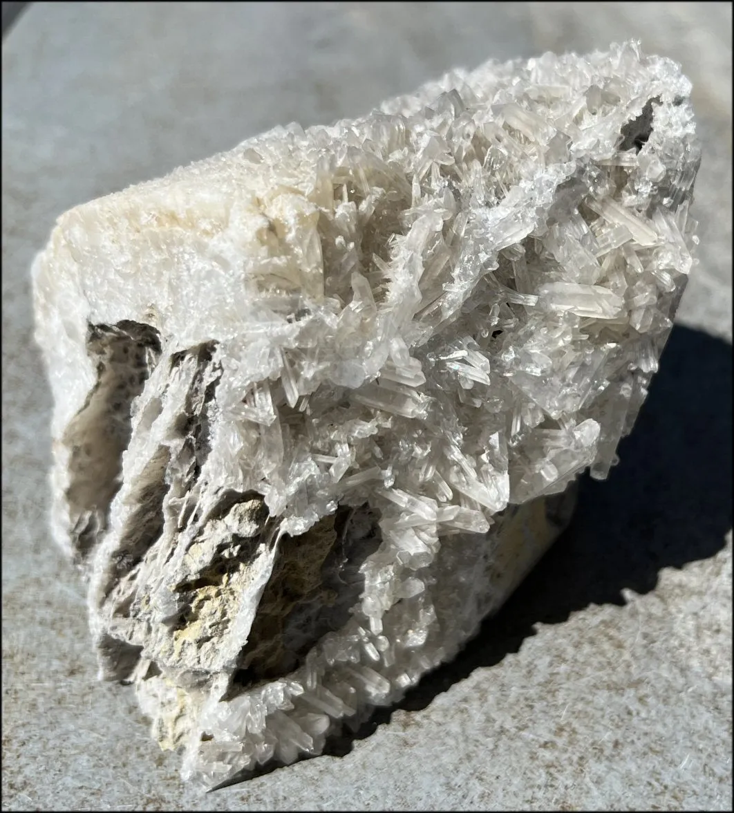 Quartz Crystal   Limestone METAMORPHOSIS Crystal Skull with Fantastic Sparkly Crystal Points