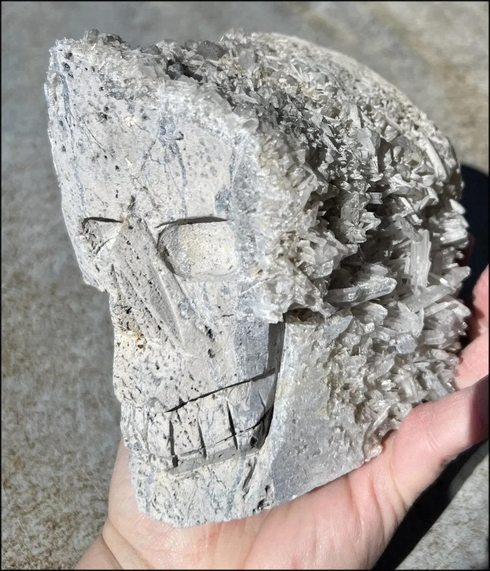 Quartz Crystal   Limestone METAMORPHOSIS Crystal Skull with Fantastic Sparkly Crystal Points
