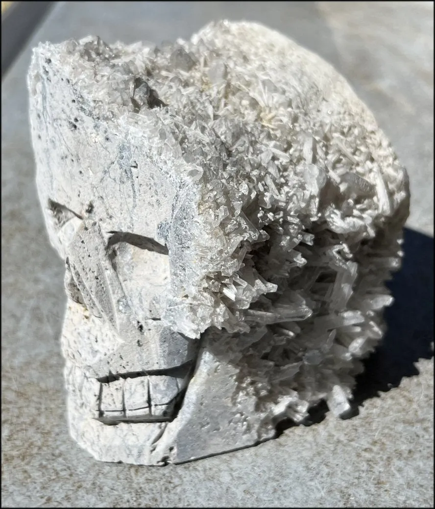 Quartz Crystal   Limestone METAMORPHOSIS Crystal Skull with Fantastic Sparkly Crystal Points