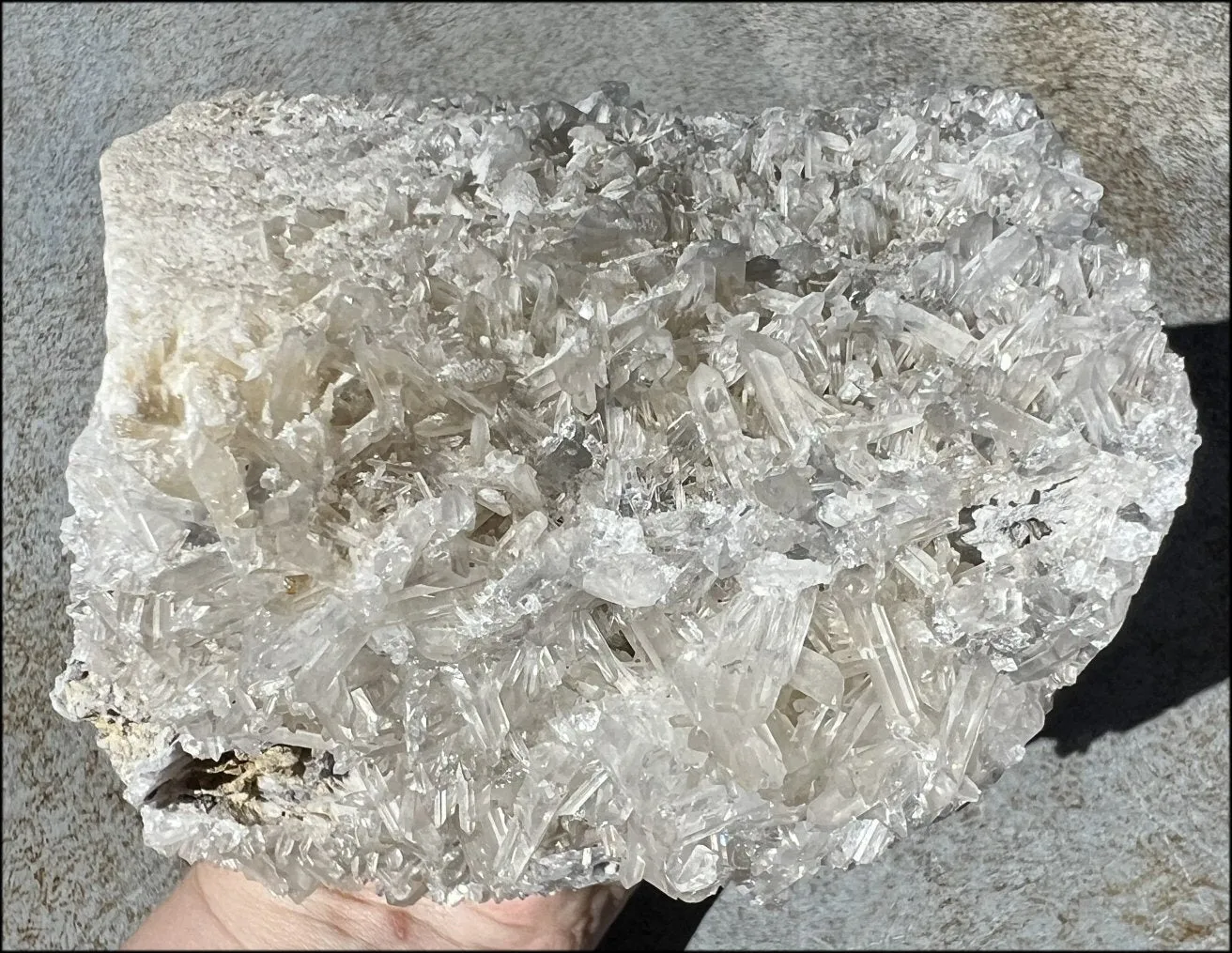 Quartz Crystal   Limestone METAMORPHOSIS Crystal Skull with Fantastic Sparkly Crystal Points