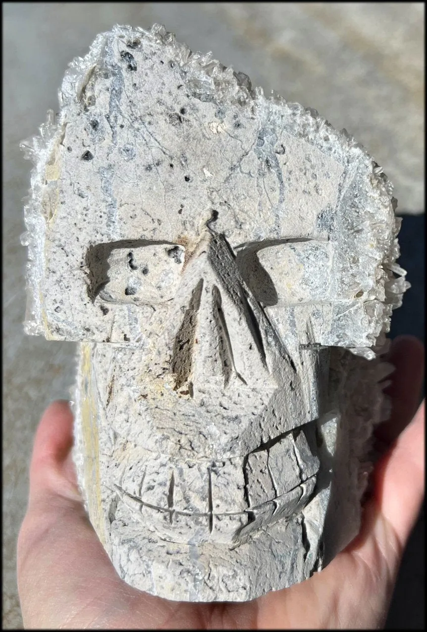 Quartz Crystal   Limestone METAMORPHOSIS Crystal Skull with Fantastic Sparkly Crystal Points