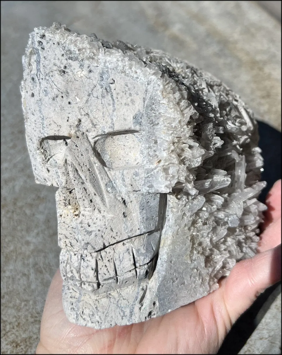 Quartz Crystal   Limestone METAMORPHOSIS Crystal Skull with Fantastic Sparkly Crystal Points