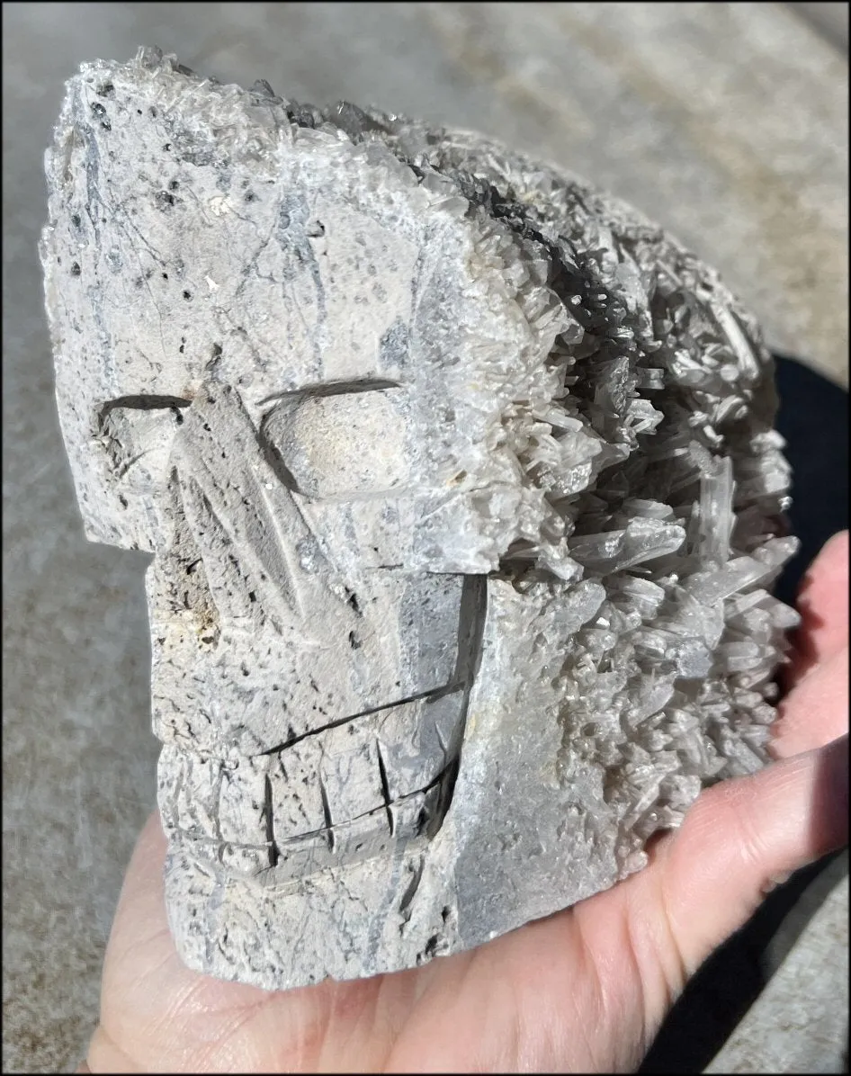 Quartz Crystal   Limestone METAMORPHOSIS Crystal Skull with Fantastic Sparkly Crystal Points