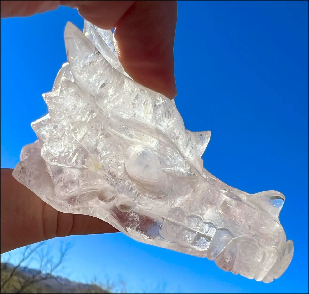 Quartz Dragon Crystal Skull with Bi-Colored Hematite inclusions - Focus, Transformation