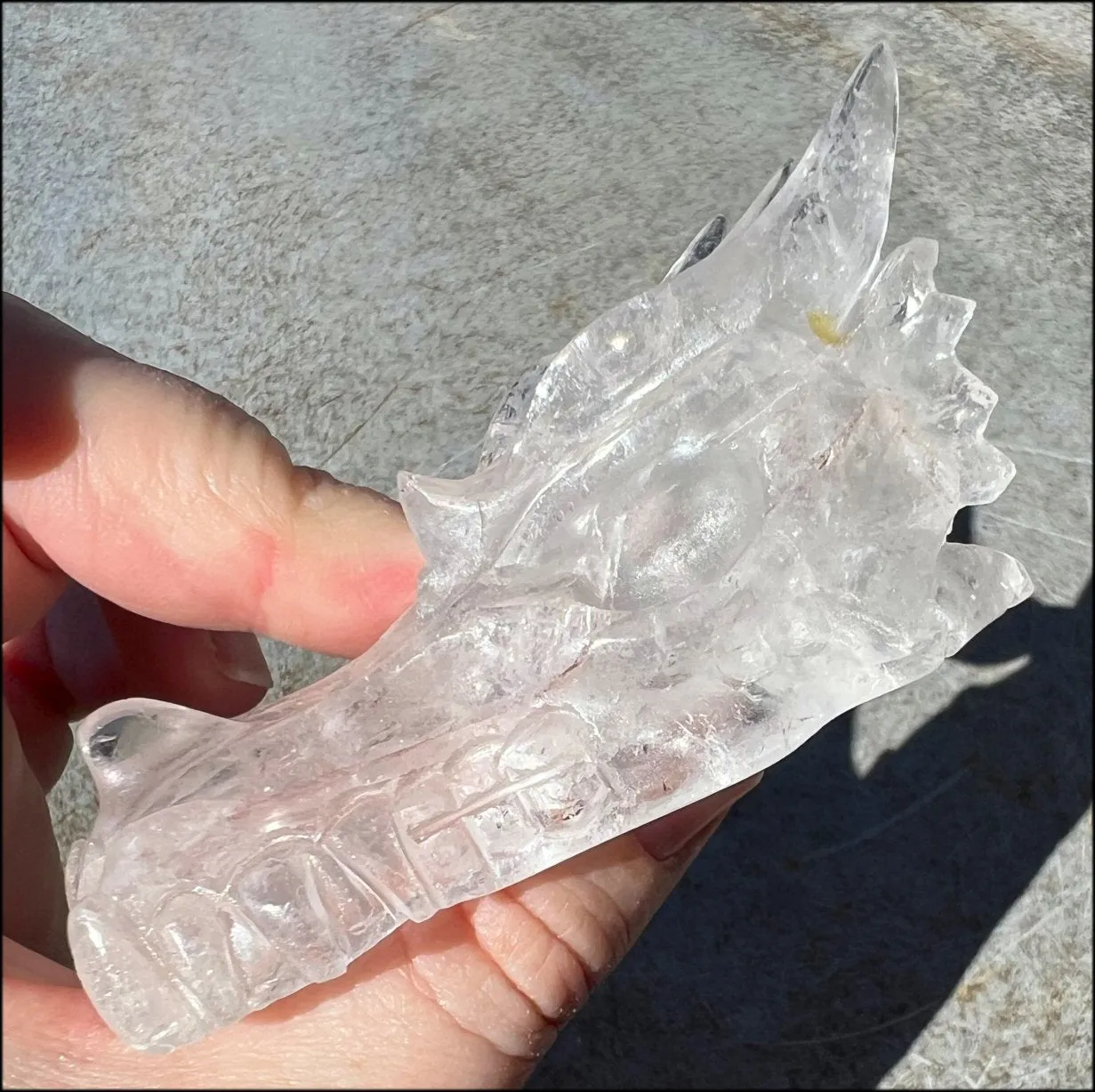 Quartz Dragon Crystal Skull with Bi-Colored Hematite inclusions - Focus, Transformation