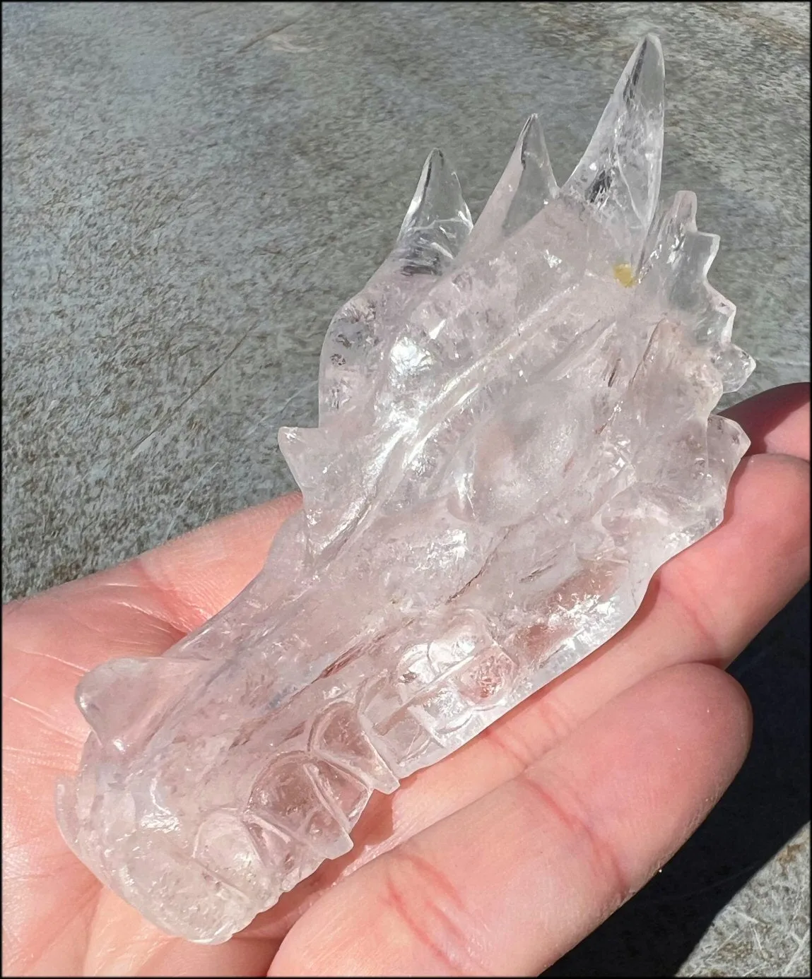 Quartz Dragon Crystal Skull with Bi-Colored Hematite inclusions - Focus, Transformation