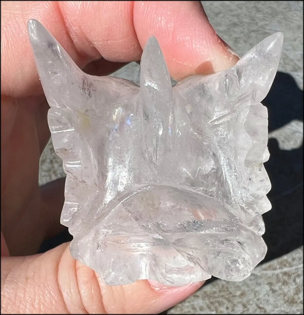 Quartz Dragon Crystal Skull with Bi-Colored Hematite inclusions - Focus, Transformation