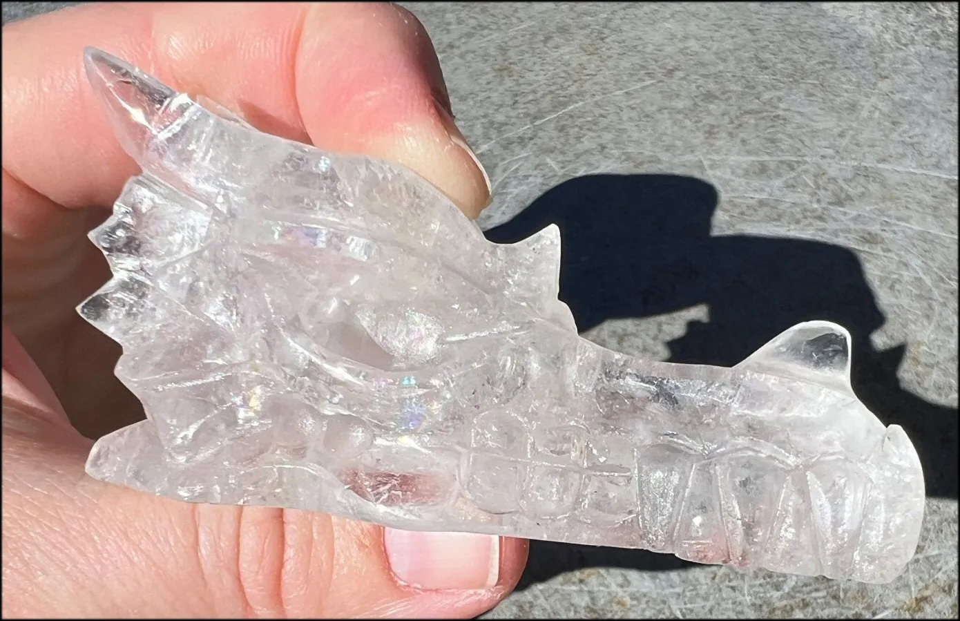 Quartz Dragon Crystal Skull with Bi-Colored Hematite inclusions - Focus, Transformation