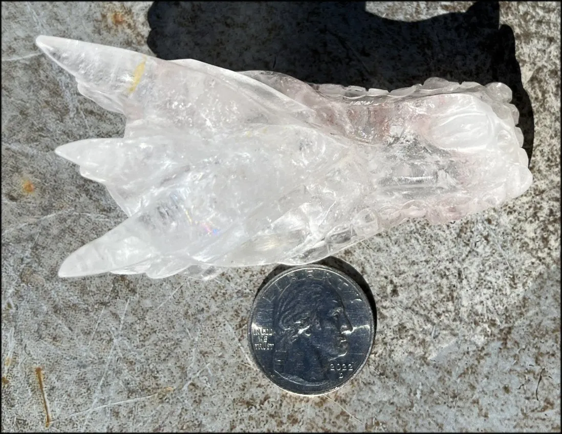 Quartz Dragon Crystal Skull with Bi-Colored Hematite inclusions - Focus, Transformation