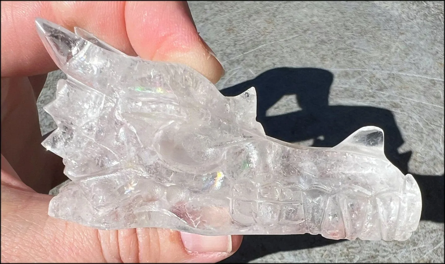 Quartz Dragon Crystal Skull with Bi-Colored Hematite inclusions - Focus, Transformation