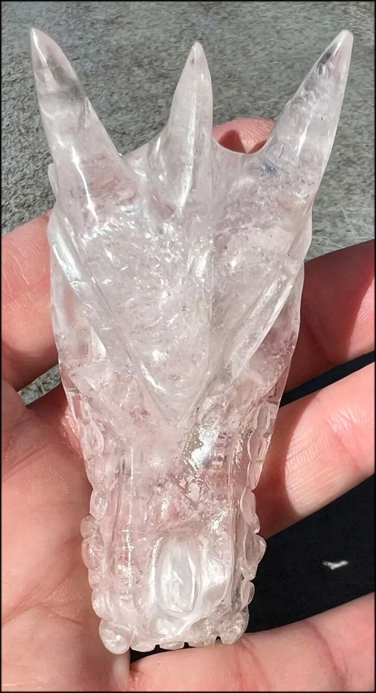 Quartz Dragon Crystal Skull with Bi-Colored Hematite inclusions - Focus, Transformation