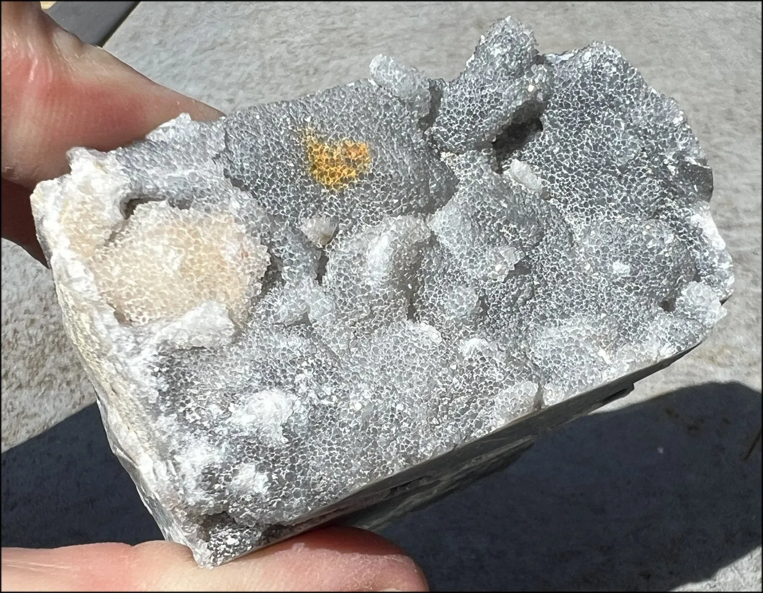 Quartz METAMORPHOSIS Crystal Skull with Fabulous Druzy Formations and Vugs