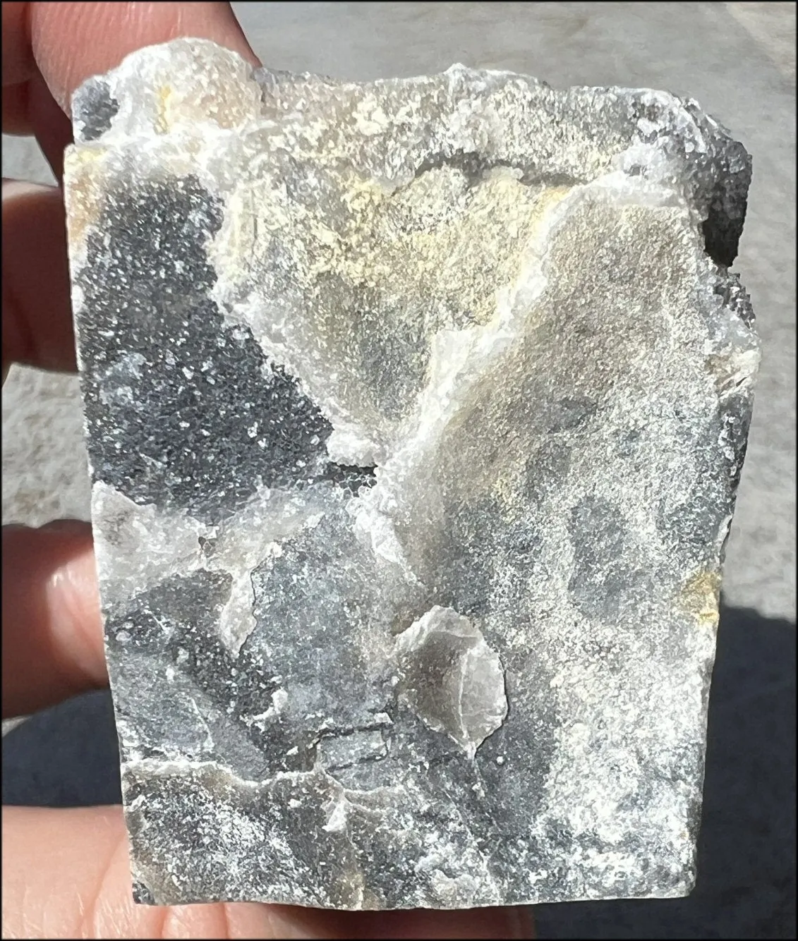 Quartz METAMORPHOSIS Crystal Skull with Fabulous Druzy Formations and Vugs