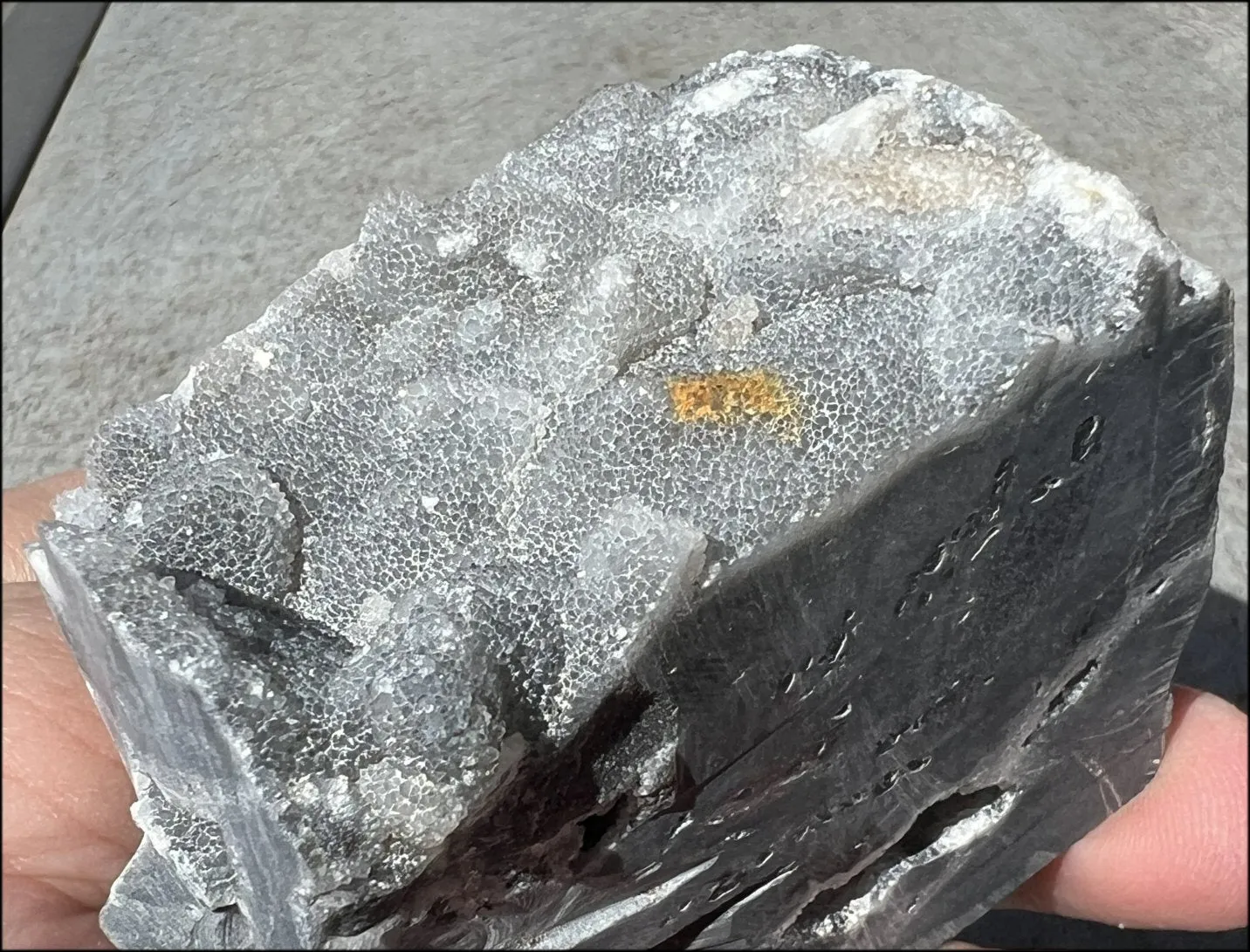 Quartz METAMORPHOSIS Crystal Skull with Fabulous Druzy Formations and Vugs