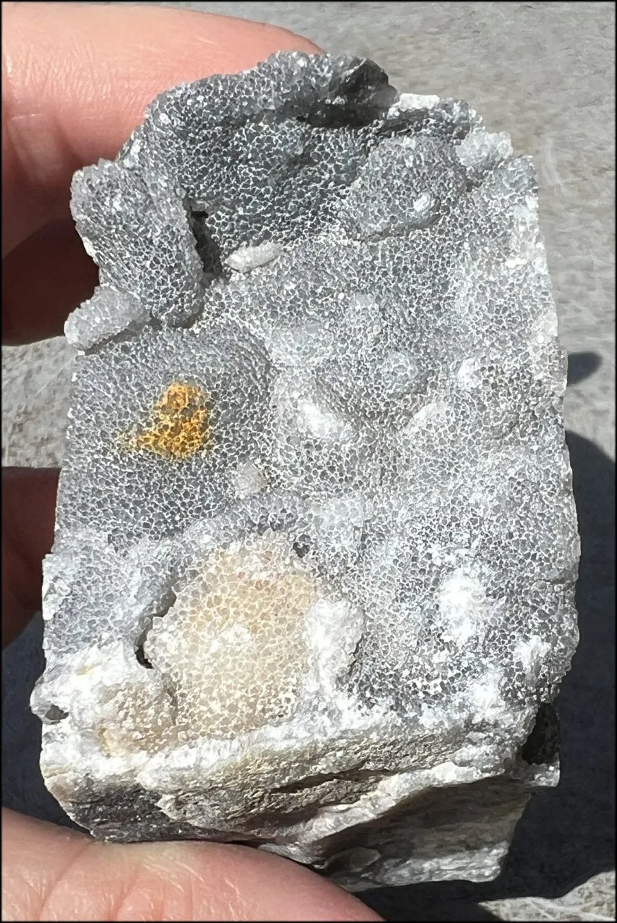 Quartz METAMORPHOSIS Crystal Skull with Fabulous Druzy Formations and Vugs