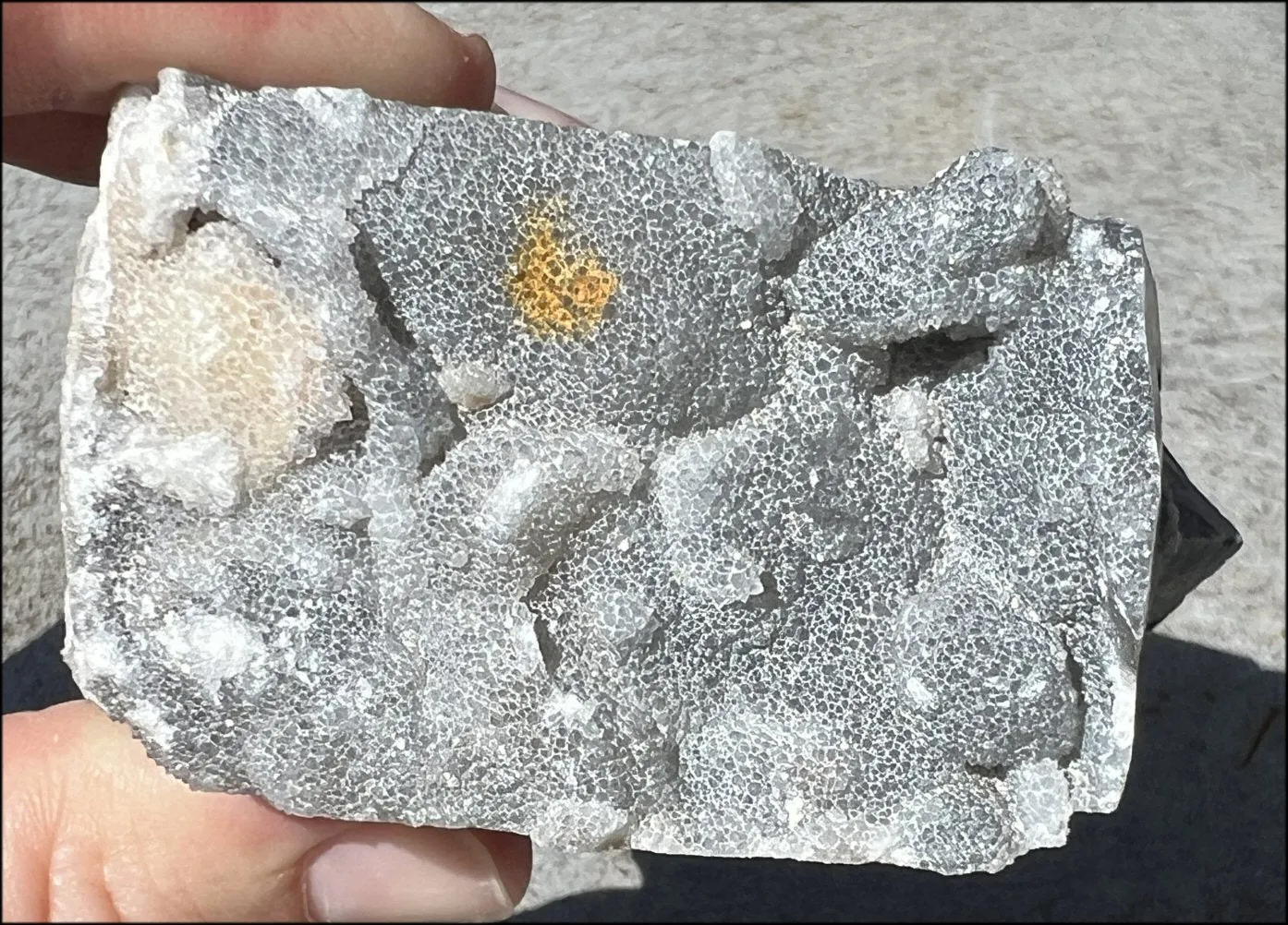 Quartz METAMORPHOSIS Crystal Skull with Fabulous Druzy Formations and Vugs