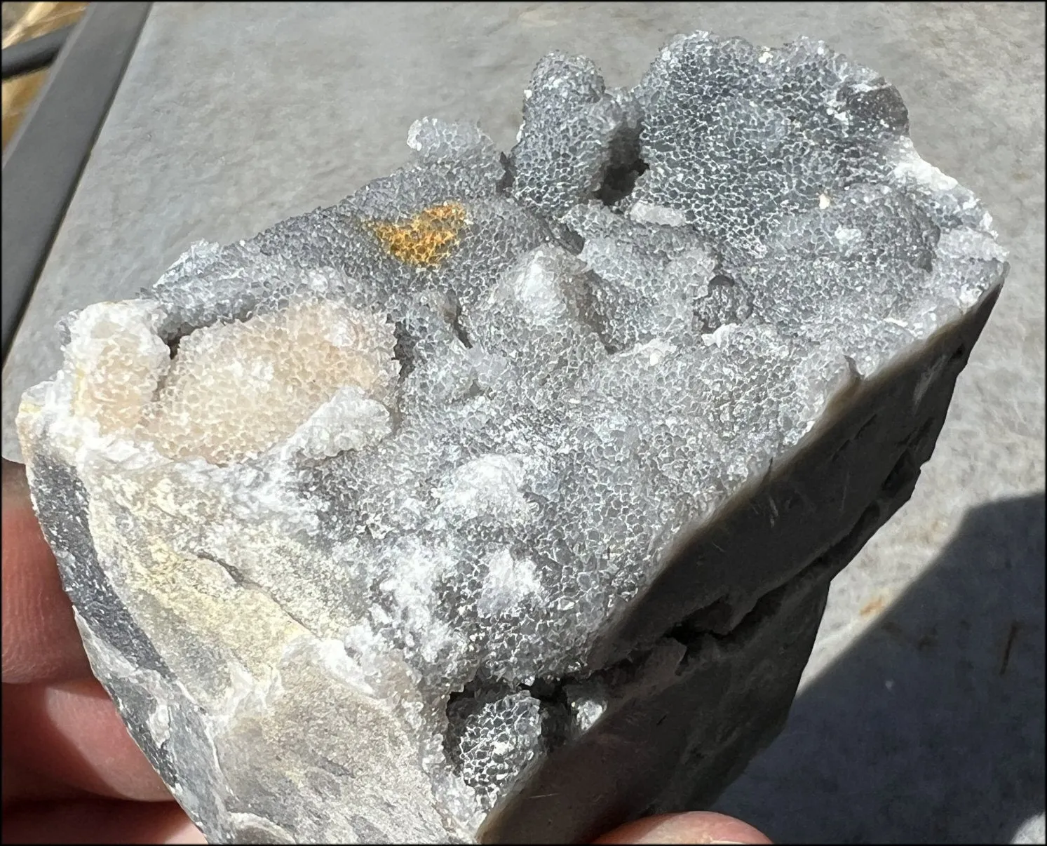 Quartz METAMORPHOSIS Crystal Skull with Fabulous Druzy Formations and Vugs