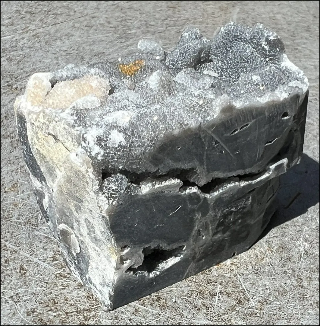 Quartz METAMORPHOSIS Crystal Skull with Fabulous Druzy Formations and Vugs
