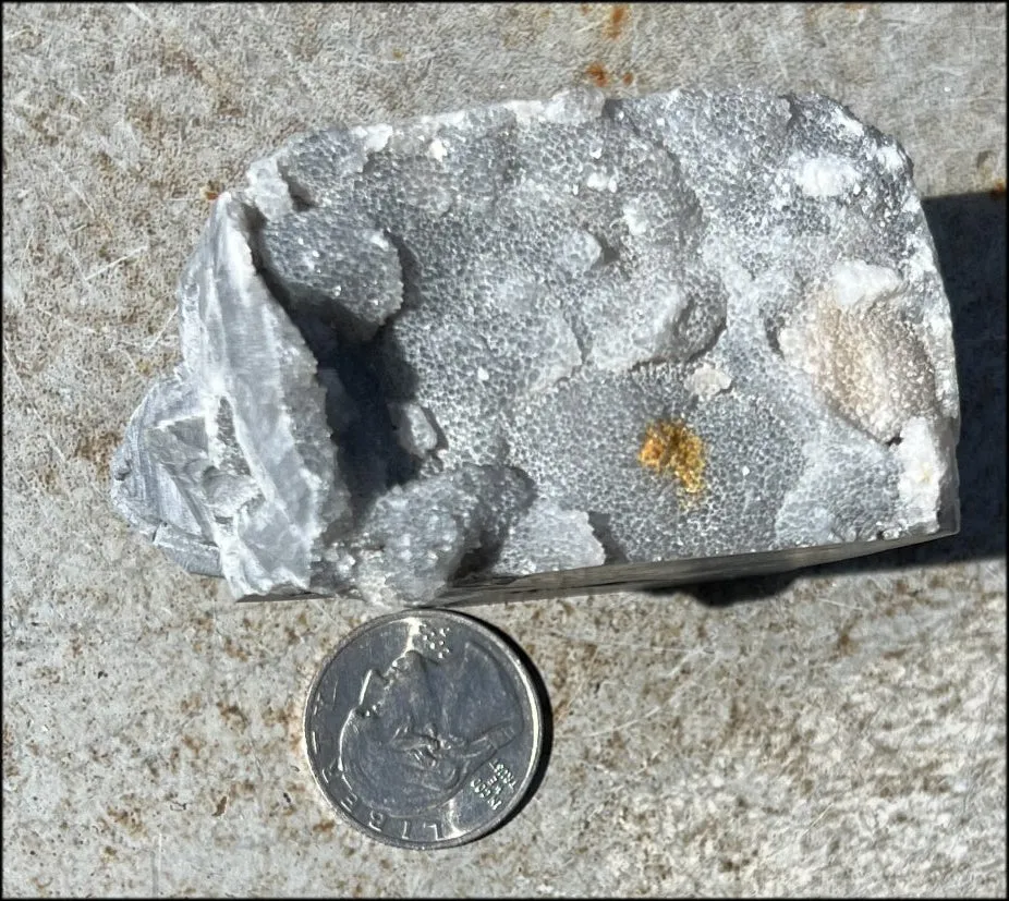 Quartz METAMORPHOSIS Crystal Skull with Fabulous Druzy Formations and Vugs