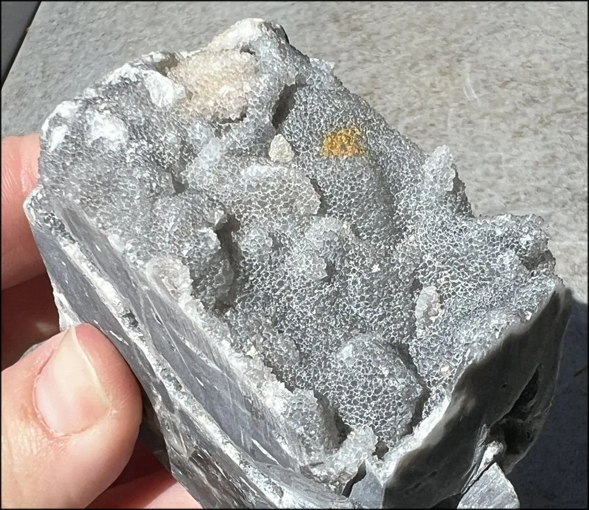 Quartz METAMORPHOSIS Crystal Skull with Fabulous Druzy Formations and Vugs